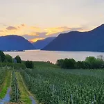 Over The Fjord ライカンゲル