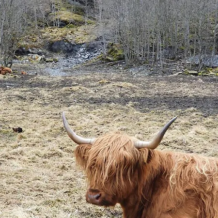 Lägenhet Over The Fjord Leikanger (Sogn og Fjordane)