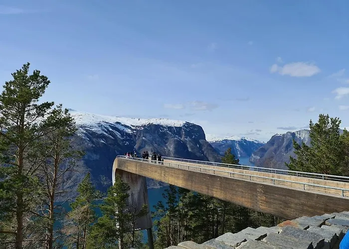 Over The Fjord 公寓 莱康厄尔